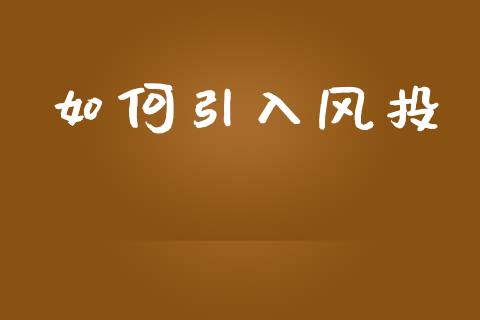 如何引入风投_https://www.fcdydaikuan.com_黄金期货直播_第1张