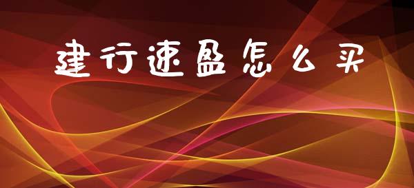 建行速盈怎么买_https://www.fcdydaikuan.com_黄金期货直播_第1张
