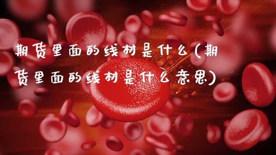 期货里面的线材是什么(期货里面的线材是什么意思)_https://www.fcdydaikuan.com_恒指期货直播_第1张