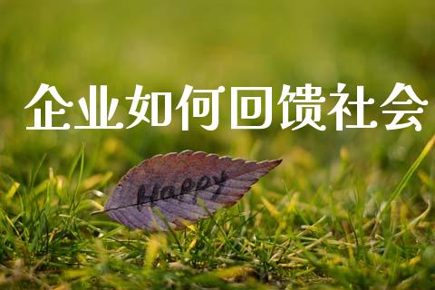 企业如何回馈社会_https://www.fcdydaikuan.com_德指期货直播_第1张