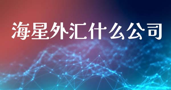 海星外汇什么公司_https://www.fcdydaikuan.com_恒指期货直播_第1张