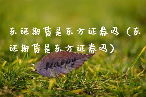 东证期货是东方证券吗（东证期货是东方证券吗）_https://www.fcdydaikuan.com_恒指期货直播_第1张