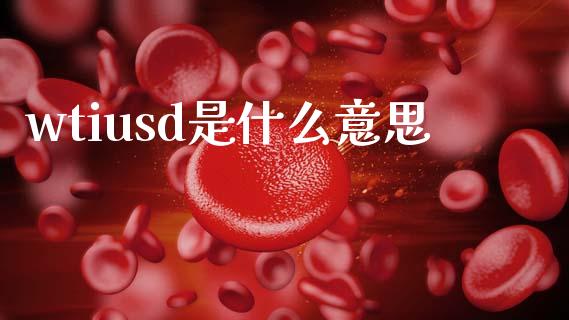 wtiusd是什么意思_https://www.fcdydaikuan.com_恒指期货直播_第1张
