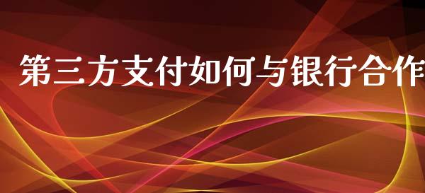 第三方支付如何与银行合作_https://www.fcdydaikuan.com_恒生指数直播室_第1张
