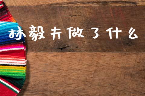 林毅夫做了什么_https://www.fcdydaikuan.com_恒生指数直播室_第1张