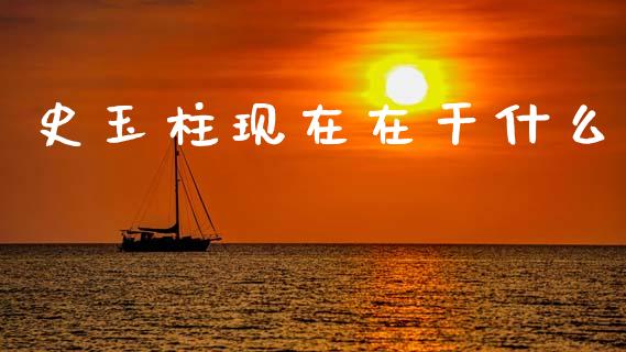 史玉柱现在在干什么_https://www.fcdydaikuan.com_恒生指数直播室_第1张