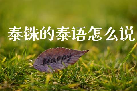 泰铢的泰语怎么说_https://www.fcdydaikuan.com_黄金期货直播_第1张