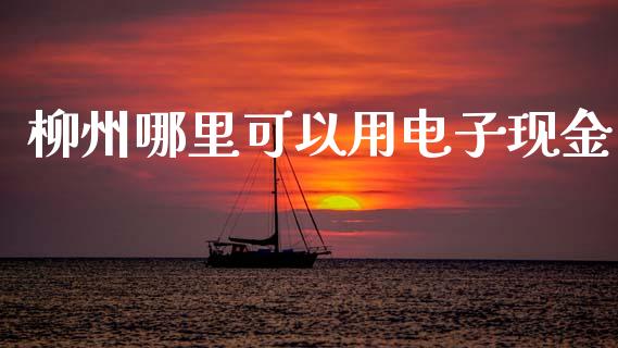 柳州哪里可以用电子现金_https://www.fcdydaikuan.com_恒生指数直播室_第1张