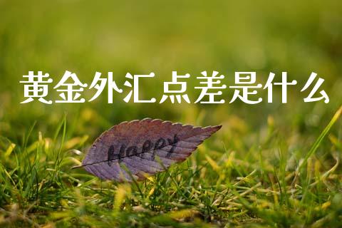 黄金外汇点差是什么_https://www.fcdydaikuan.com_恒生指数直播室_第1张