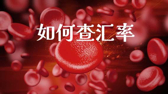 如何查汇率_https://www.fcdydaikuan.com_恒指期货直播_第1张