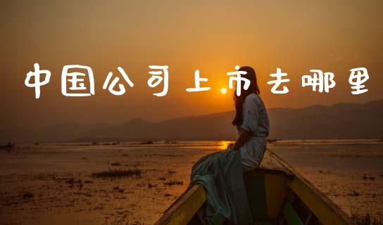 中国公司上市去哪里_https://www.fcdydaikuan.com_黄金期货直播_第1张