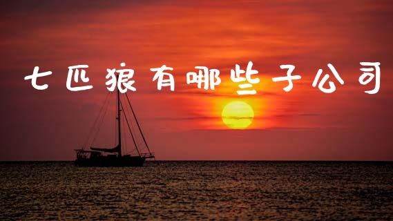 七匹狼有哪些子公司_https://www.fcdydaikuan.com_恒指期货直播_第1张
