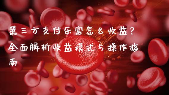 第三方支付乐富怎么收益？全面解析收益模式与操作指南_https://www.fcdydaikuan.com_恒生指数直播室_第1张