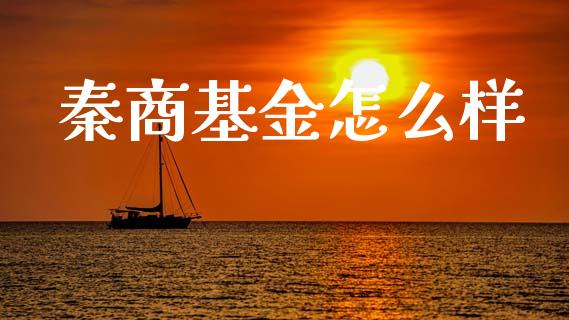 秦商基金怎么样_https://www.fcdydaikuan.com_恒指期货直播_第1张