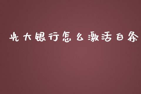 光大银行怎么激活白条_https://www.fcdydaikuan.com_黄金期货直播_第1张