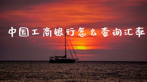 中国工商银行怎么查询汇率_https://www.fcdydaikuan.com_恒指期货直播_第1张