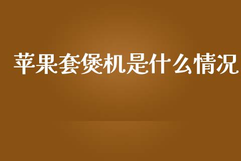 苹果套煲机是什么情况_https://www.fcdydaikuan.com_恒生指数直播室_第1张