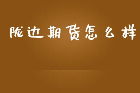 陇达期货怎么样_https://www.fcdydaikuan.com_黄金期货直播_第1张