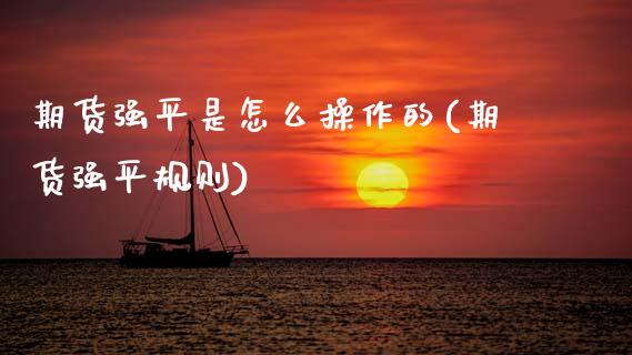 期货强平是怎么操作的(期货强平规则)_https://www.fcdydaikuan.com_黄金期货直播_第1张