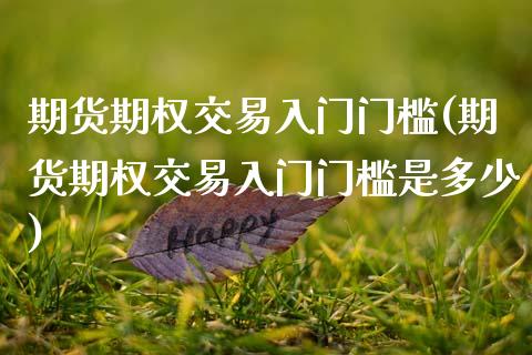 期货期权交易入门门槛(期货期权交易入门门槛是多少)_https://www.fcdydaikuan.com_德指期货直播_第1张