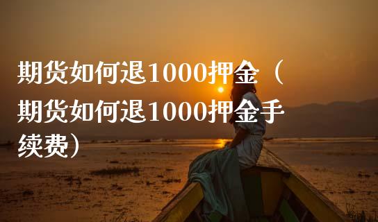 期货如何退1000押金（期货如何退1000押金手续费）_https://www.fcdydaikuan.com_恒指期货直播_第1张