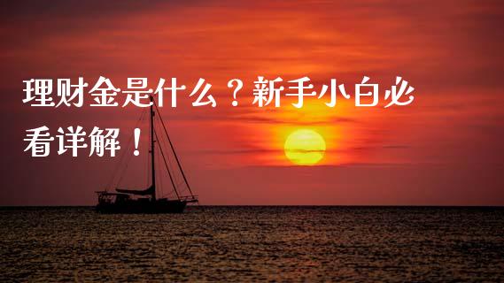 理财金是什么？新手小白必看详解！_https://www.fcdydaikuan.com_恒生指数直播室_第1张
