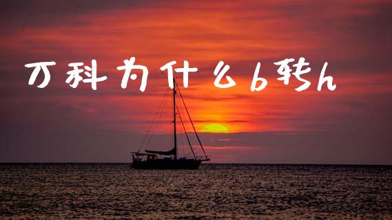 万科为什么b转h_https://www.fcdydaikuan.com_德指期货直播_第1张