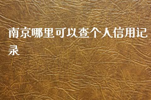 南京哪里可以查个人信用记录_https://www.fcdydaikuan.com_恒指期货直播_第1张