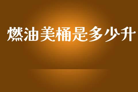 燃油美桶是多少升_https://www.fcdydaikuan.com_德指期货直播_第1张