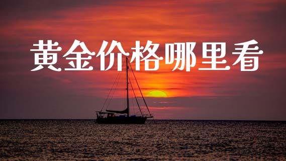 黄金价格哪里看_https://www.fcdydaikuan.com_德指期货直播_第1张