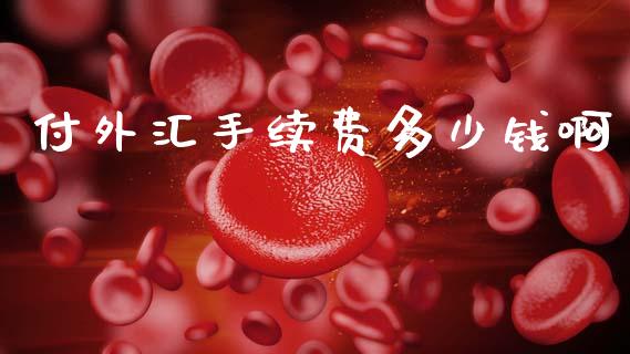 付外汇手续费多少钱啊_https://www.fcdydaikuan.com_黄金期货直播_第1张