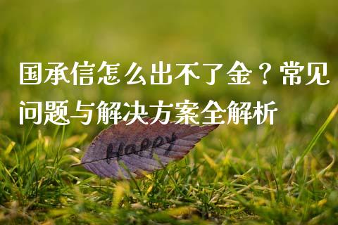 国承信怎么出不了金？常见问题与解决方案全解析_https://www.fcdydaikuan.com_恒生指数直播室_第1张