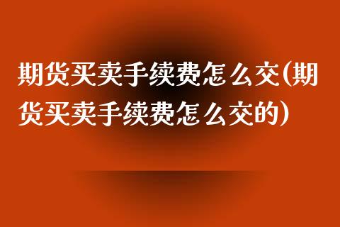 期货买卖手续费怎么交(期货买卖手续费怎么交的)_https://www.fcdydaikuan.com_恒生指数直播室_第1张