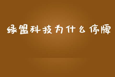 绿盟科技为什么停牌_https://www.fcdydaikuan.com_恒生指数直播室_第1张