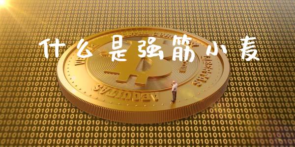什么是强筋小麦_https://www.fcdydaikuan.com_恒生指数直播室_第1张