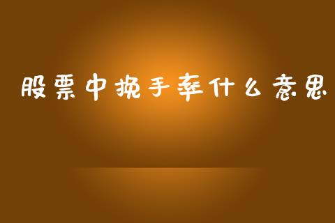 股票中挽手率什么意思_https://www.fcdydaikuan.com_德指期货直播_第1张