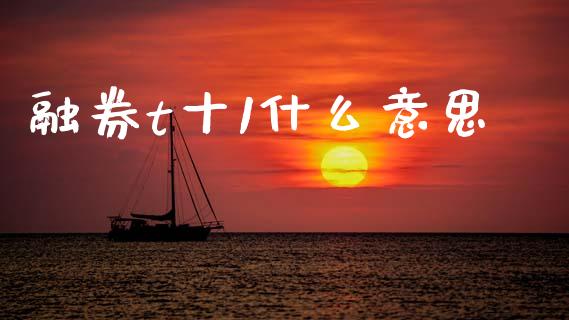 融券t十1什么意思_https://www.fcdydaikuan.com_黄金期货直播_第1张