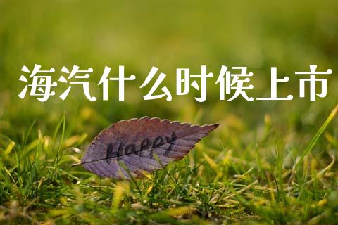 海汽什么时候上市_https://www.fcdydaikuan.com_德指期货直播_第1张