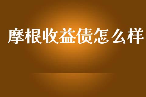 摩根收益债怎么样_https://www.fcdydaikuan.com_黄金期货直播_第1张