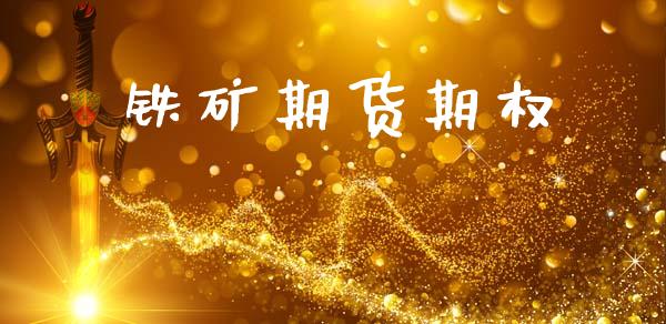 铁矿期货期权_https://www.fcdydaikuan.com_德指期货直播_第1张