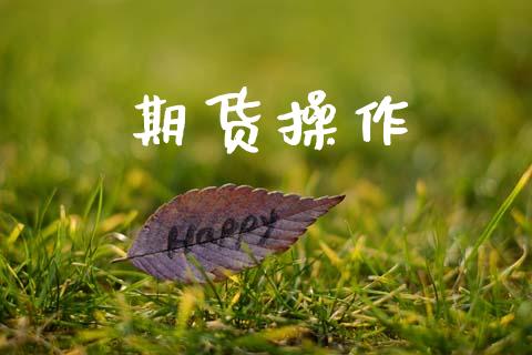 期货操作_https://www.fcdydaikuan.com_恒生指数直播室_第1张