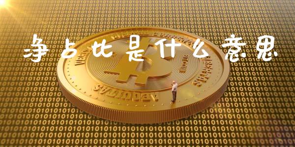 净占比是什么意思_https://www.fcdydaikuan.com_恒指期货直播_第1张