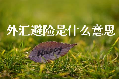 外汇避险是什么意思_https://www.fcdydaikuan.com_黄金期货直播_第1张