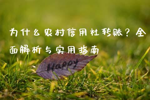 为什么农村信用社转账？全面解析与实用指南_https://www.fcdydaikuan.com_黄金期货直播_第1张