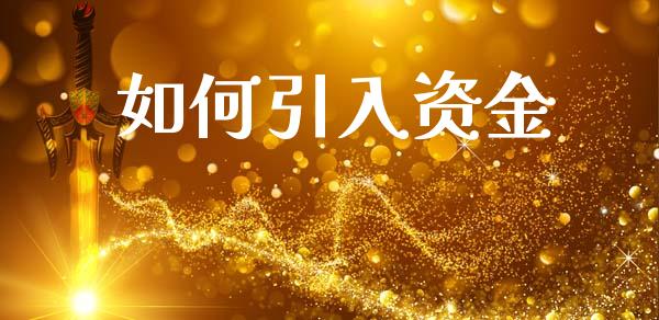 如何引入资金_https://www.fcdydaikuan.com_德指期货直播_第1张