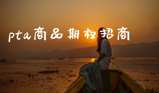 pta商品期权招商_https://www.fcdydaikuan.com_黄金期货直播_第1张