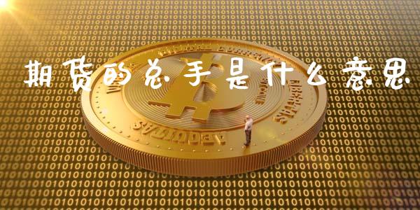 期货的总手是什么意思_https://www.fcdydaikuan.com_黄金期货直播_第1张
