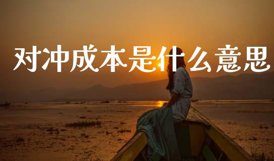 对冲成本是什么意思_https://www.fcdydaikuan.com_黄金期货直播_第1张