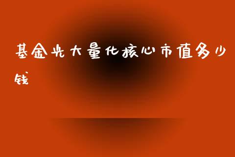 基金光大量化核心市值多少钱_https://www.fcdydaikuan.com_恒指期货直播_第1张
