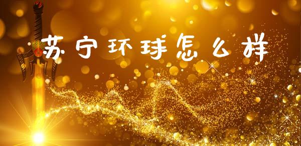苏宁环球怎么样_https://www.fcdydaikuan.com_恒指期货直播_第1张